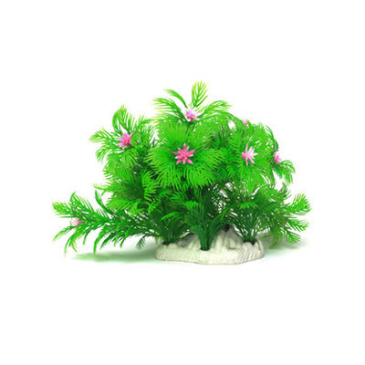 魚缸花草十大牌子排行榜
