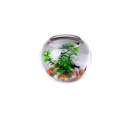 金魚瓶十大牌子排行榜