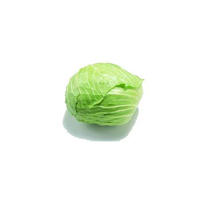 包心菜十大牌子排行榜