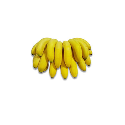 米蕉十大牌子排行榜