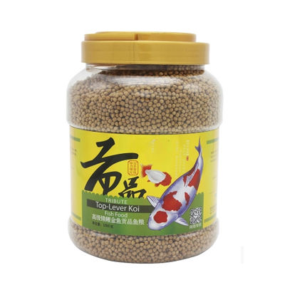 錦鯉糧十大牌子排行榜