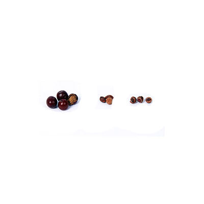 炒酸棗仁十大牌子排行榜