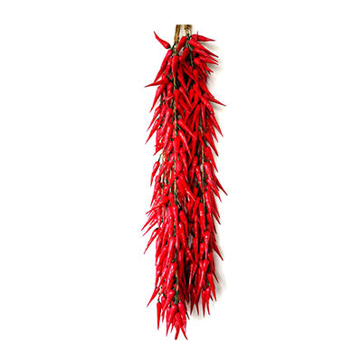 假蔬菜十大牌子排行榜