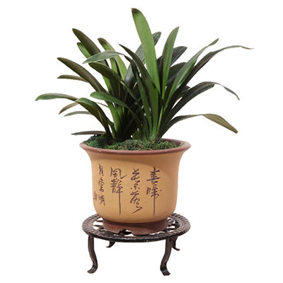 盆栽架十大牌子排行榜