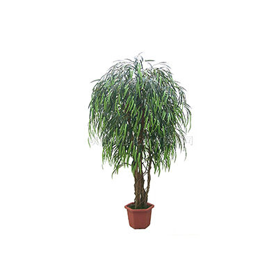 仿真綠植盆栽十大牌子排行榜