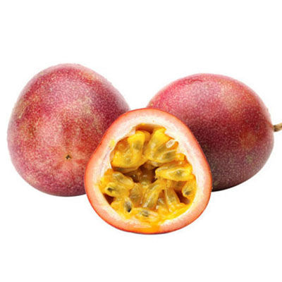 紫果十大牌子排行榜