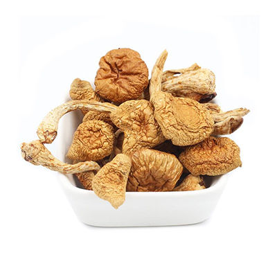 滑子菇十大牌子排行榜