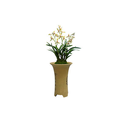 植物盆栽十大牌子排行榜