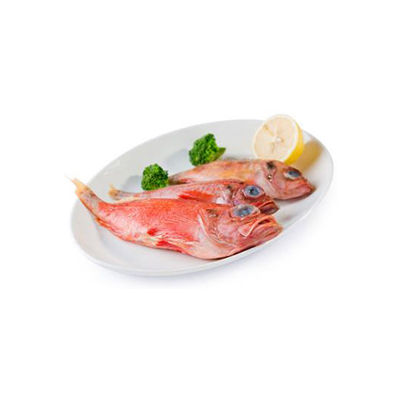 大眼魚十大牌子排行榜