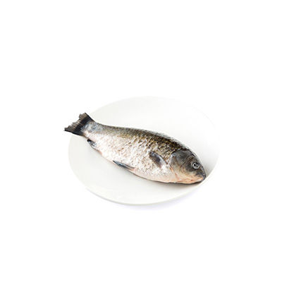 有機魚十大牌子排行榜