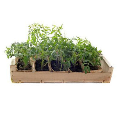 蔬菜種植箱十大牌子排行榜