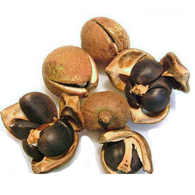 野山茶油十大牌子排行榜