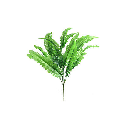 排草十大牌子排行榜