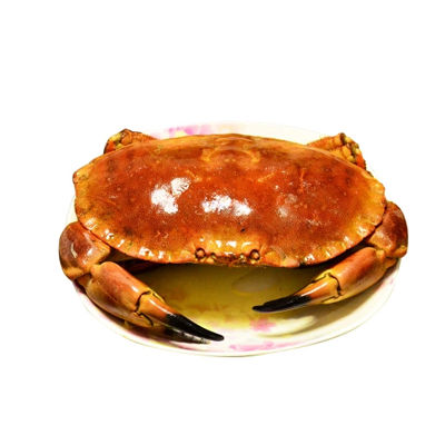 冷凍野生海鮮十大牌子排行榜