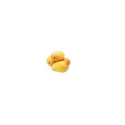 小芒果十大牌子排行榜