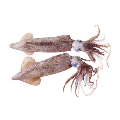 魷魚腿十大牌子排行榜
