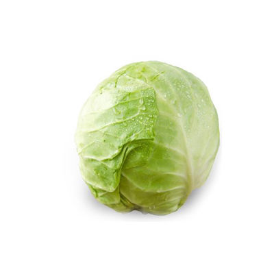 卷心菜十大牌子排行榜