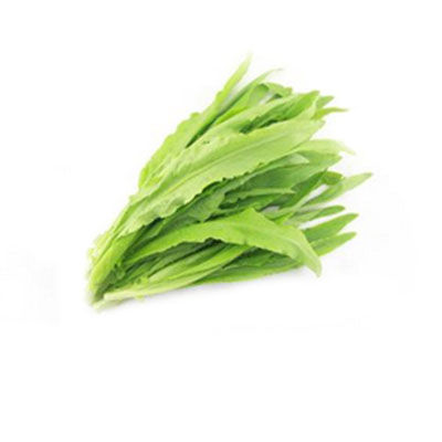 莜麥菜十大牌子排行榜