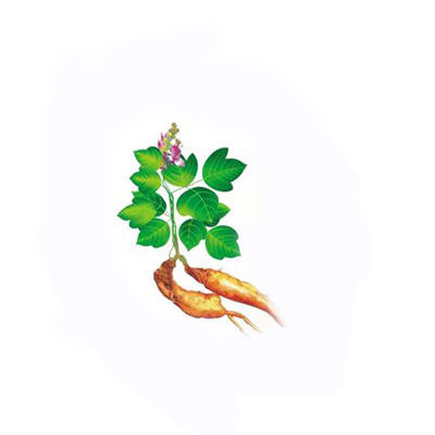 木瓜葛根選購指南