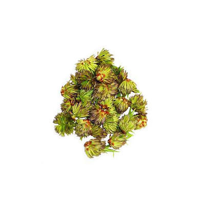 杜仲雄花茶十大牌子排行榜