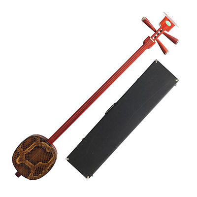 小三弦選購指南
