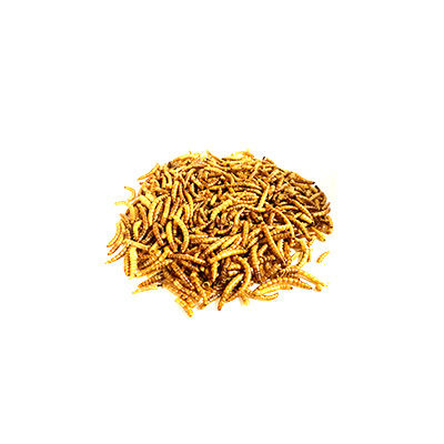 蝦飼料十大牌子排行榜