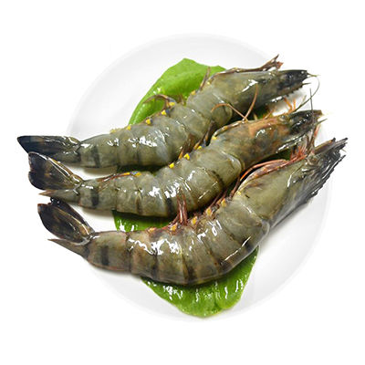 黑虎蝦選購(gòu)指南
