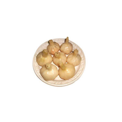 泡蒜十大牌子排行榜