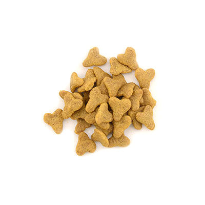 牛肉味狗糧十大牌子排行榜