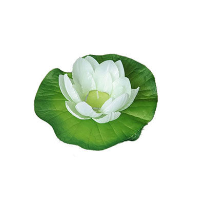 荷花燈選購指南