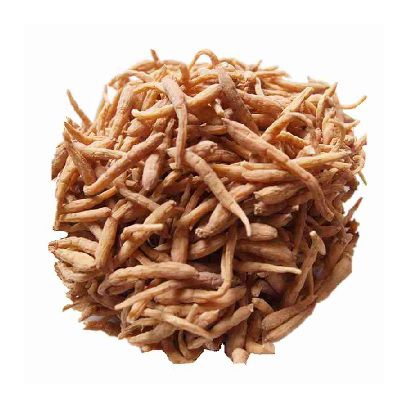 孩兒參選購(gòu)指南