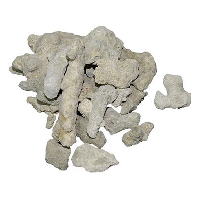 珊瑚沙十大牌子排行榜