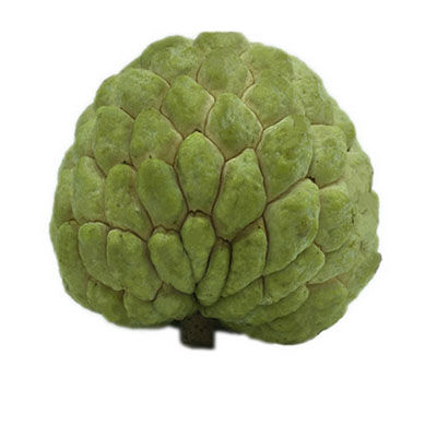 釋迦果十大牌子排行榜