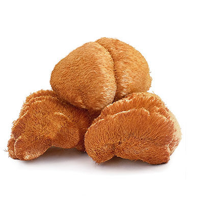 山猴頭十大牌子排行榜