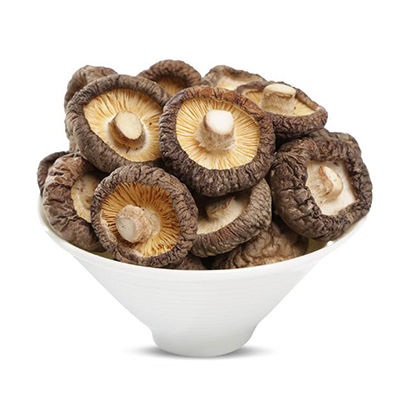 金錢菇十大牌子排行榜
