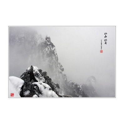 攝影畫十大牌子排行榜