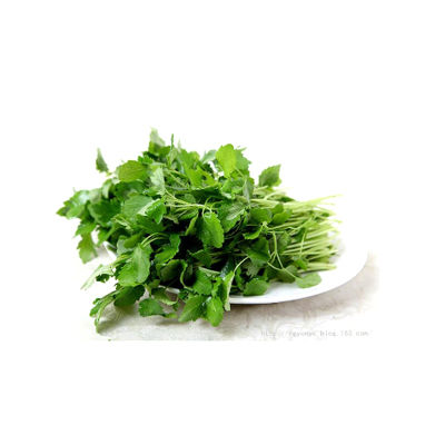 坤草十大牌子排行榜