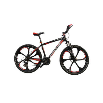 一體輪山地車(chē)十大牌子排行榜