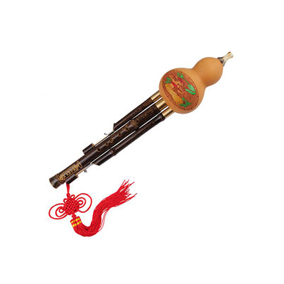 專業(yè)葫蘆絲十大牌子排行榜