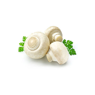 菇菌十大牌子排行榜