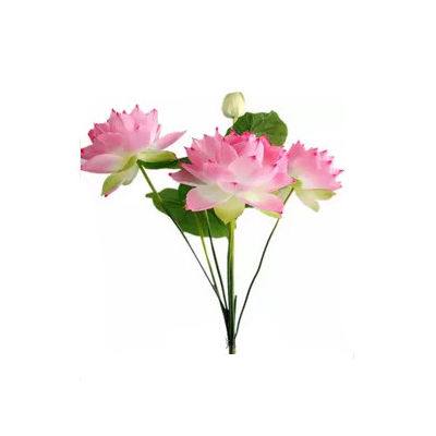 假荷花十大牌子排行榜