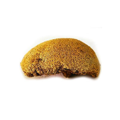 雪靈芝十大牌子排行榜