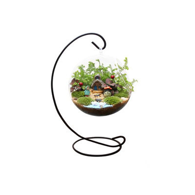 微景觀植物十大牌子排行榜