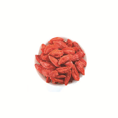 貢果十大牌子排行榜