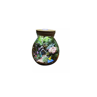 生態(tài)瓶十大牌子排行榜