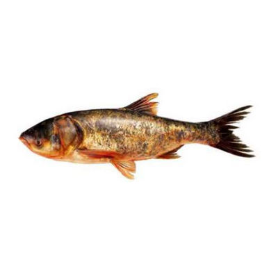 松魚十大牌子排行榜