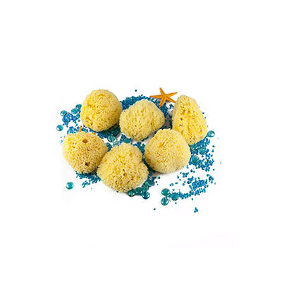 希臘天然海綿十大牌子排行榜