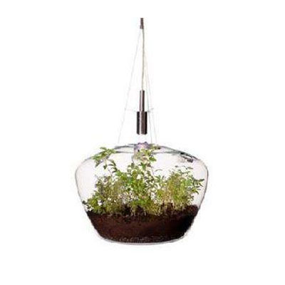 植物吊燈十大牌子排行榜