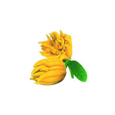 佛手茶十大牌子排行榜