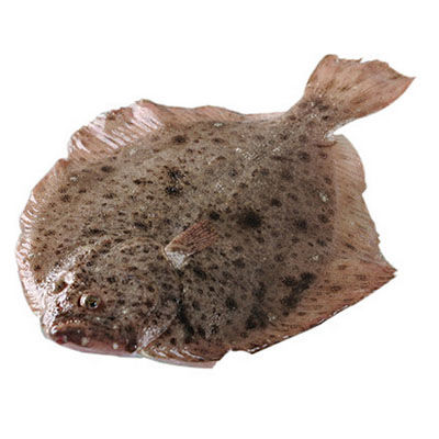 多寶魚十大牌子排行榜